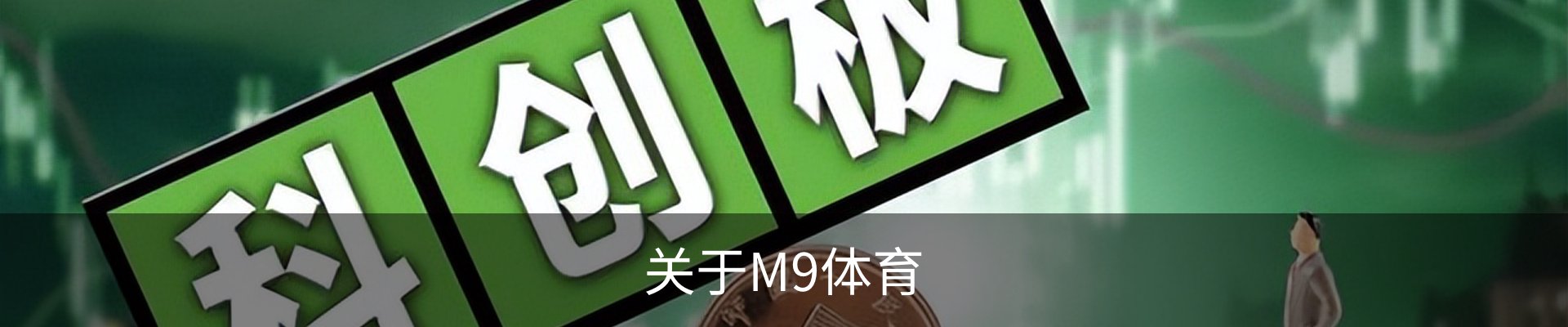 关于M9体育